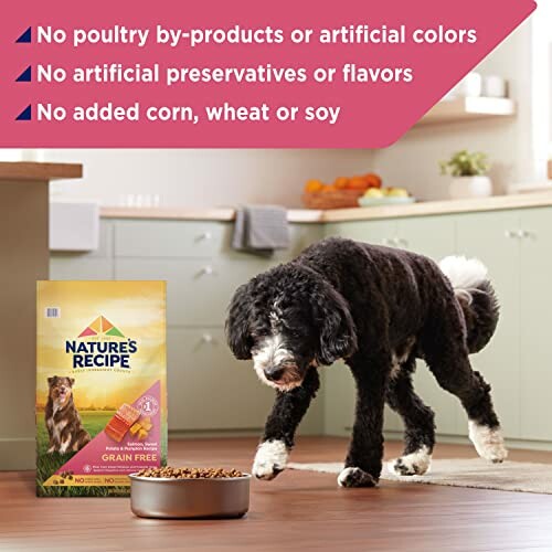 Dog eating Nature's Recipe grain-free dog food in a kitchen.