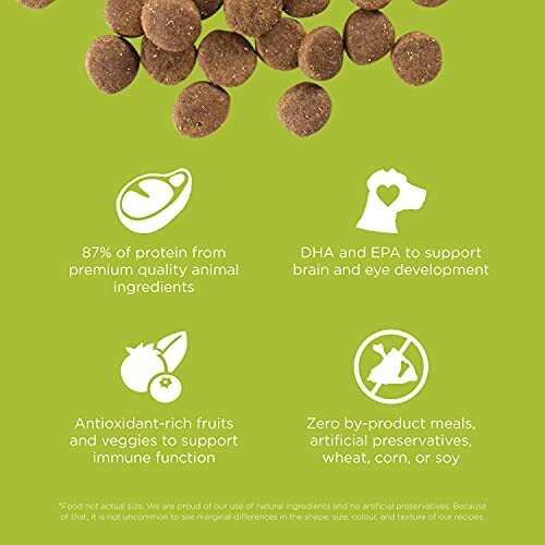 Dog food benefits: high protein, supports brain development, antioxidant-rich, no by-products.