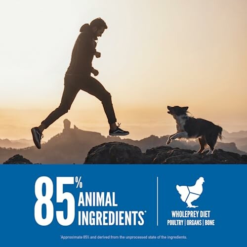 Man and dog playing on rocks at sunset with text about animal ingredients.