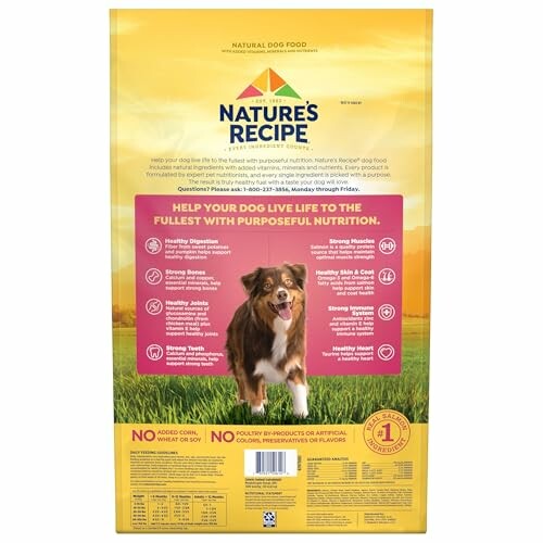 Nature's Recipe dog food bag with health benefits listed.