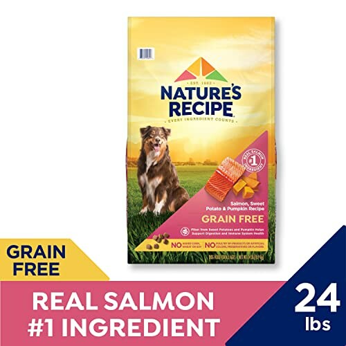 Nature's Recipe dog food with real salmon, 24 lbs bag