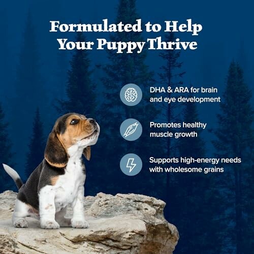 Puppy on rock with nutrition benefits text: DHA & ARA for brain and eye development, promotes healthy muscle growth, supports high-energy needs with wholesome grains.