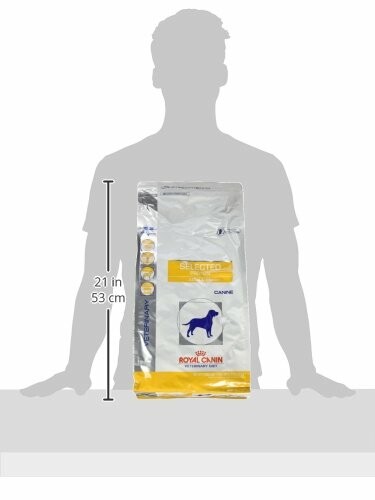 Royal Canin dog food bag with silhouette for size comparison