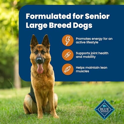 German Shepherd with benefits of senior large breed dog food listed.