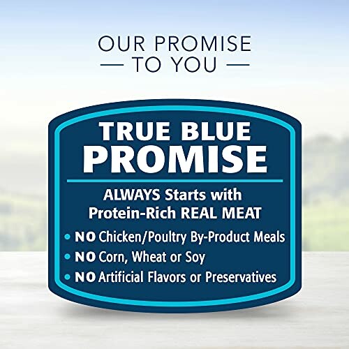 True Blue Promise label with no by-products, corn, wheat, soy, artificial flavors, or preservatives.